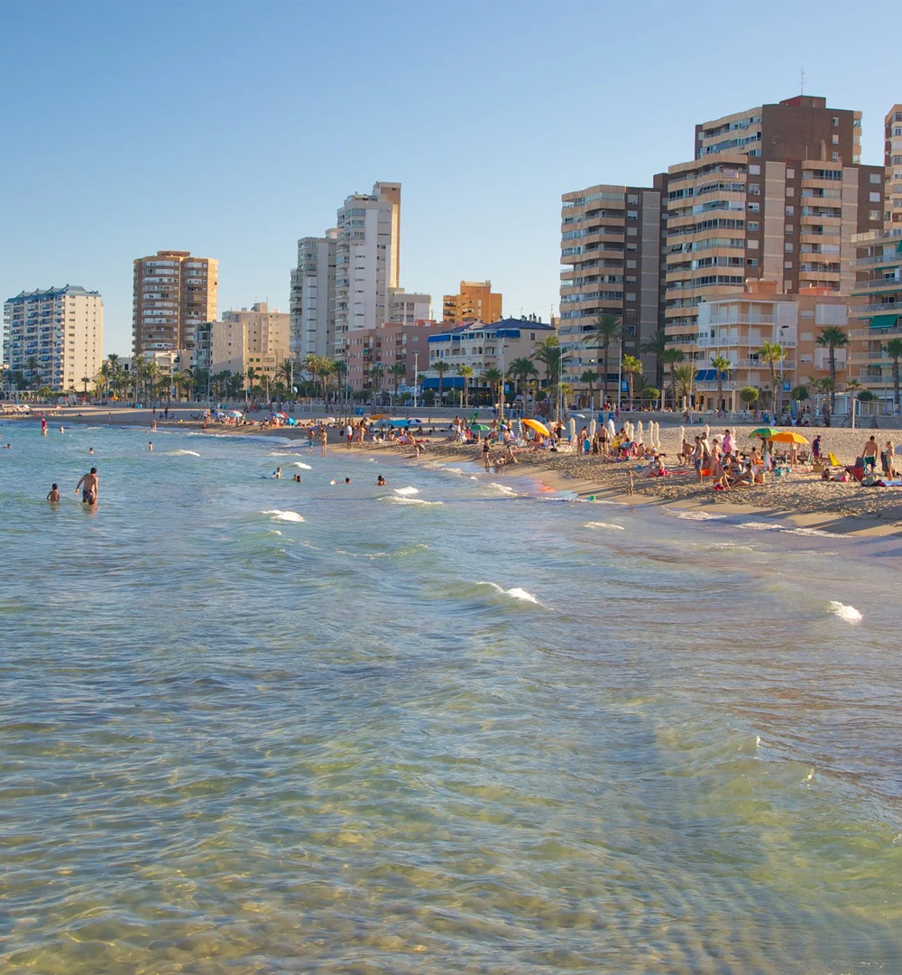 Campello-big